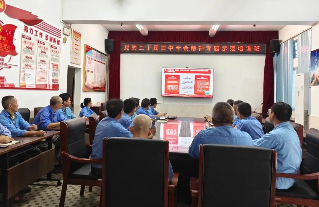 海南礦業(yè)組織觀看學習貫徹黨的二十屆三中全會精神專題示范班課堂視頻直播